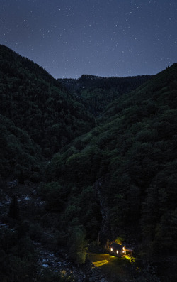 naturexphotography:  mistymorningme:  untitled