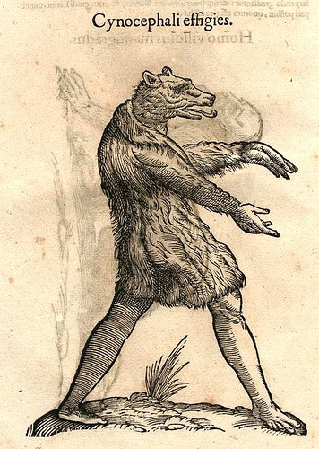 Ulisse Aldrovandi, Monstrorum Historia (History of Monsters) late 1500s, a compendium