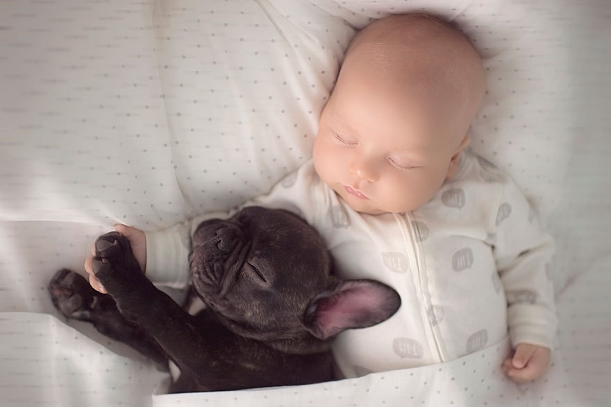 daddys-little-p-r-i-n-c-e-s-s:  boredpanda:    Baby &amp; Bulldog Born On Same