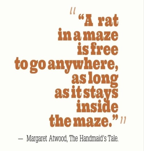 “A rat in a maze is free to go anywhere, as long as it stays inside the maze.”― Margaret