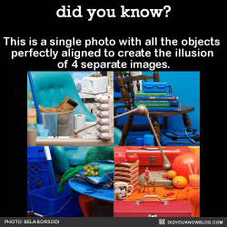 did-you-kno:  This is a single photo with all the objects perfectly aligned to create the illusion of 4 separate images. Here it is from another angle: There’s also a stop-motion video that shows how it was made. Source 