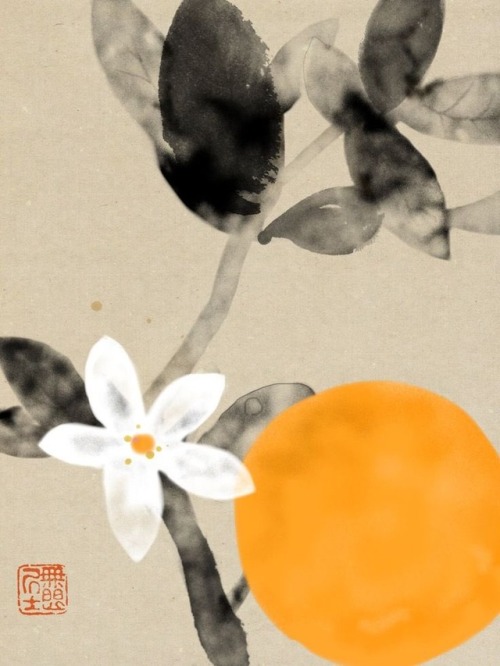 modijeanne:Orange. - ©Hidetoshi Mito