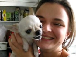 teapotsahoy:thehmn:I’m sorry for talking about dogs so much but I need to rant