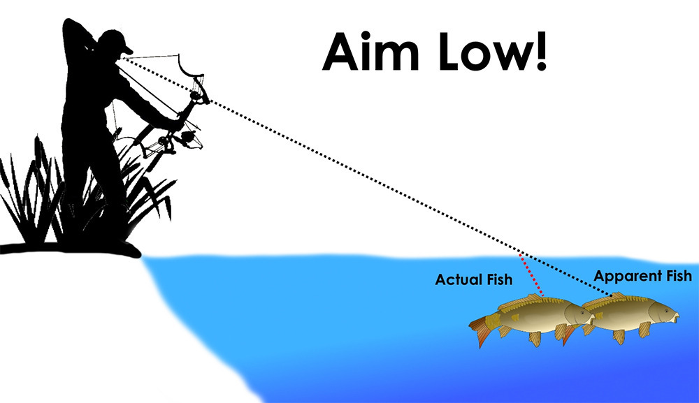 stealthboy:  gunsandfireandshit: reallyreallyreallytrying:   i tell all my buddies who are sharpening a stick in order to stand in the shallows and spear fish the same thing: you gotta adjust your aim to compensate for light refraction      mutuals do
