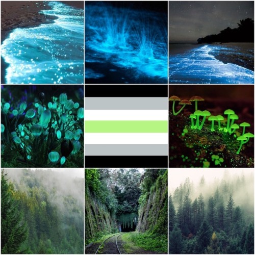 Bioluminescent &amp; Forest Agender Aesthetic for Anon! -Mod Loki