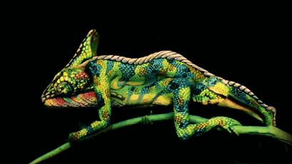 psychedelicpreacher:  Amazing chameleon body-art!