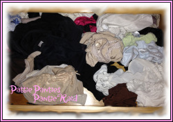 pattiespics:  Pattie was very naughty on a recent out of state trip.  She slipped into the hostess’ bedroom for a quick peek in her pantie drawer.  An of course she just had to try on some of her sweet panties.  And yes, she did pilfer one pair of