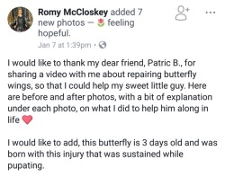 vampireapologist: notworblacosplay:  slytherinconservative:  im-just-a-reaction:  cinnaluna: This person…. fixes butterflies….. 🦋  Amazing   every time you reblog this post, another butterfly flutters for the first time  CONTACT CEMENT, I’M TELLING