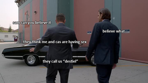 mishasminions:  SAM WINCHESTER: ULTIMATE SHIPPER