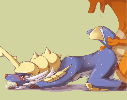 pokephillicperson:  #006: Charizard 
