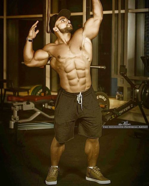 Galal Zakaria