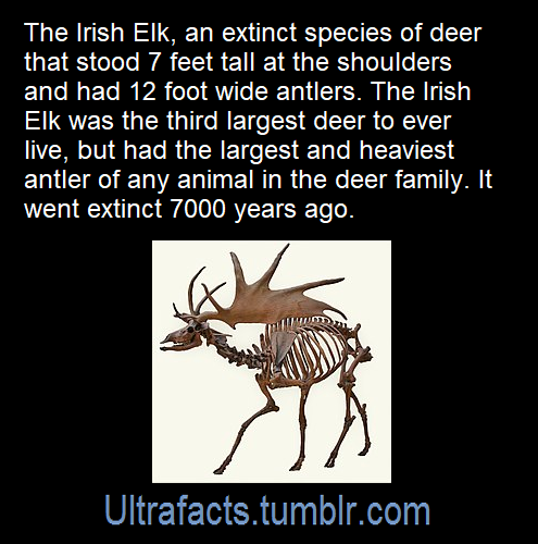 ultrafacts: Source: [x] Click HERE for more facts! 