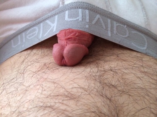 BriefsBriefs！