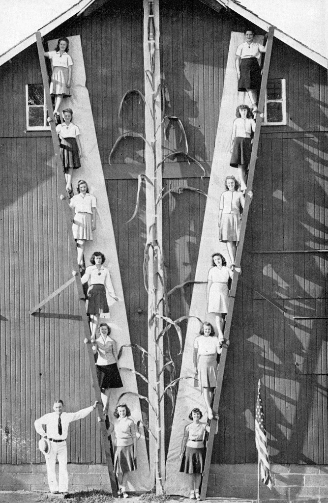 Iowa’s Tallest Cornstalk, 1942  From The State of Iowa Welcomes You, Fourth Edition, 1943, p. 37.
Title: Iowa, “The State Where the Tall Corn Grows.”
Text above photograph:
Don Radda of Washington, Iowa, last year [1942] raised the world’s tallest...