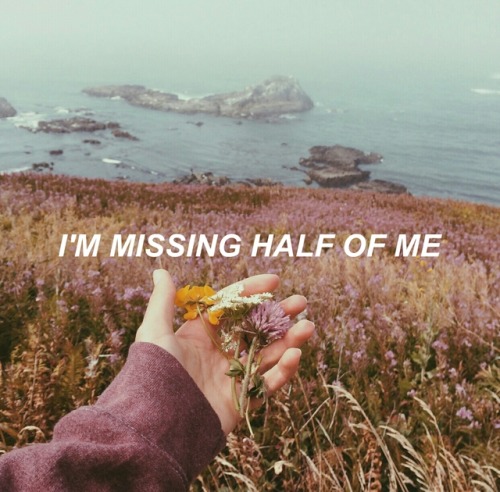 onedirectionslyrics: if i could fly // one direction