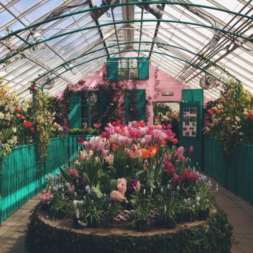 stefany:  I want this in my home