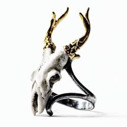 macabregadgets:  MACABREGADGETS.COM #macabregadgets #jewelry #black #fashion #pure #ring #light #sculpture #ring #silver #gold #roe #deer #finejewelry #coral #skull #skullring #skulljewelry #horns #blackfashion #allblack #fashionjewelry 