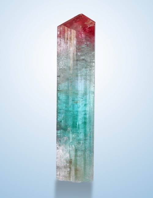 Tourmaline - Cruzeiro mine, São José da Safira, Minas Gerais, Brazil