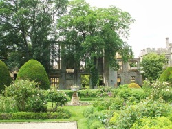 jupiterjuniper:  &ldquo;The ruins&rdquo; garden