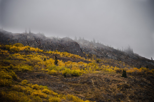 daskibum:White Pass Alaska/British Columbia.  This is pretty much my fall color shooting this y