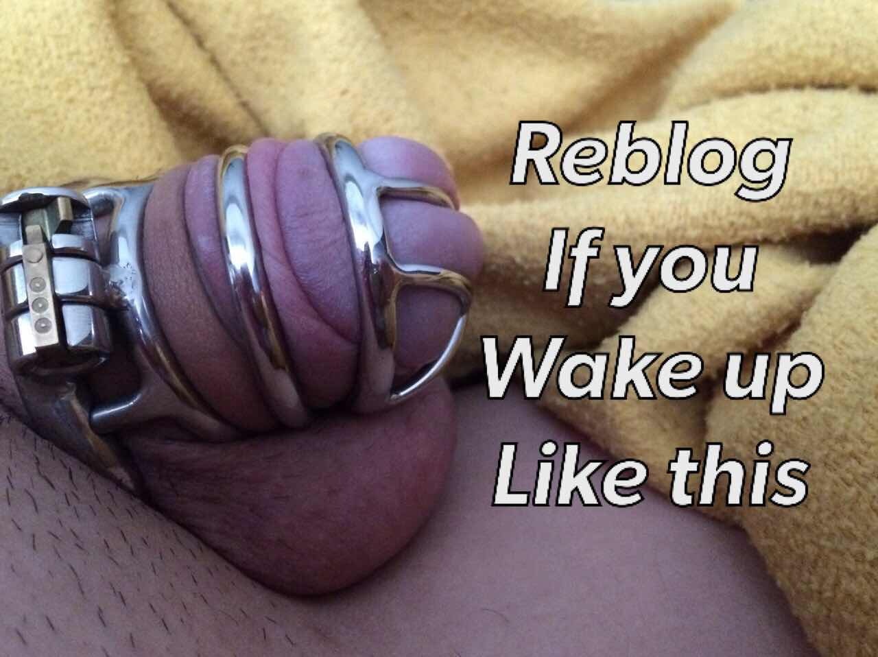sexybumtobe:  Good morning tumblrian. Isn’t it wonderful to have your beloved caged?