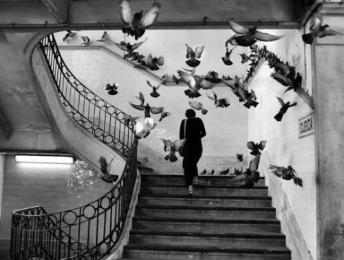 photo-reactive: Mercado do Bolhão, Porto by Henri Cartier-Bresson