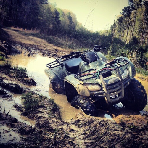 Got my hands on the wheel and I'm flyin'