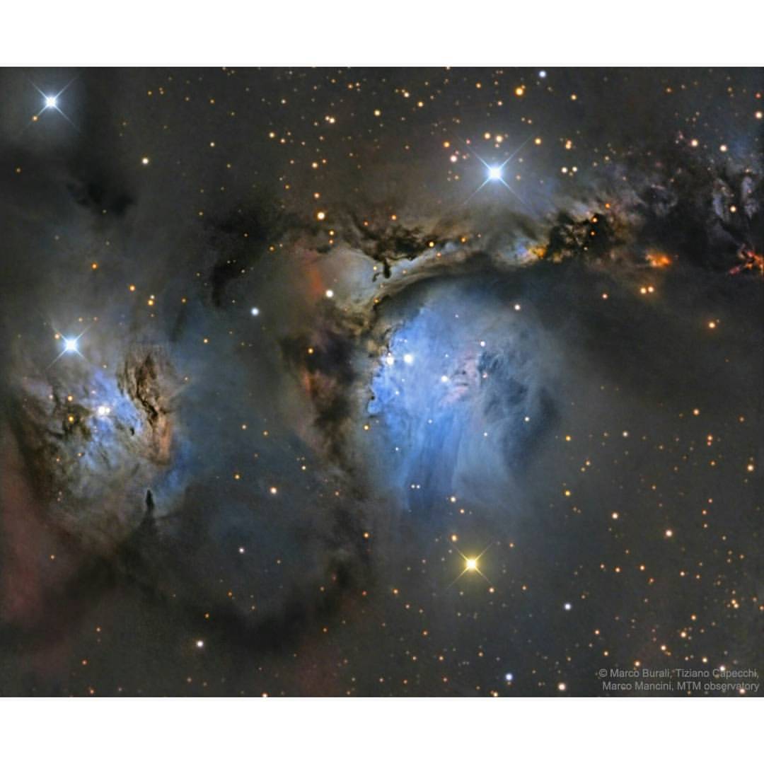 M78 and Orion Dust Reflections #nasa #apod #orion #orionnebula #horseheadnebula #orionmolecularcloudcomplex