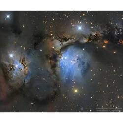 M78 And Orion Dust Reflections #Nasa #Apod #Orion #Orionnebula #Horseheadnebula #Orionmolecularcloudcomplex