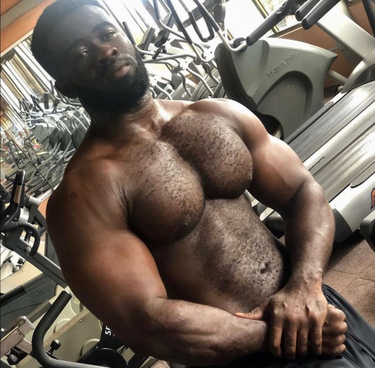 papabearscum:Daddy. There is nothing hotter than a Black Man with a hairy body 