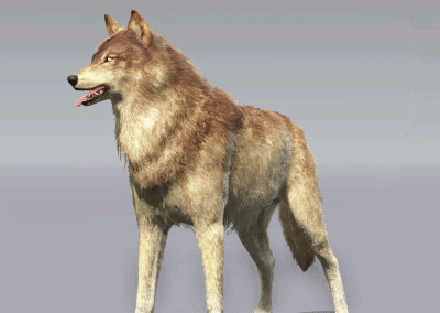 bear-montana:      Metal Gear Solid V: The Phantom Pain – Customization  D-Dog