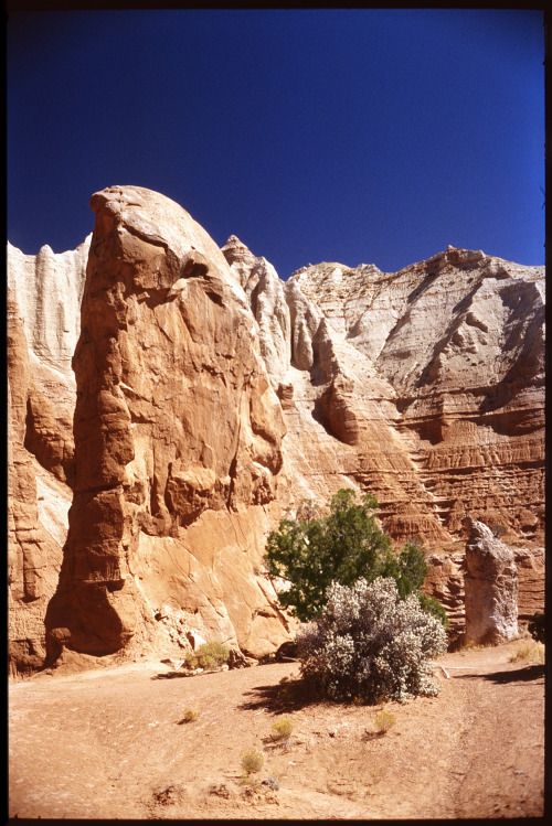 the69thdimension: Kodachrome Basin, UT Kodak