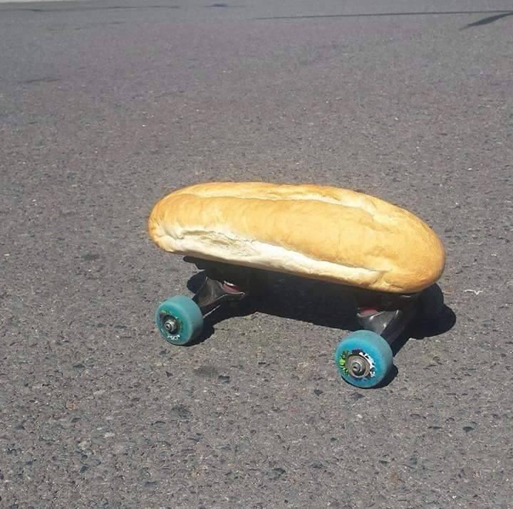 k-eke:  More animations inspired by photos of birds ! :DI loved the bread on a skate-board,