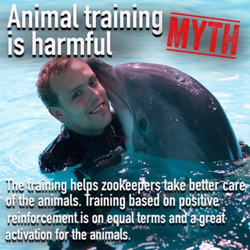 lovedrugsandfanfic:coffeeandufos:cephalopodvictorious:useless-zoofacts:6 zoo myths that arent trueMo