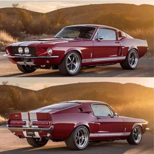 1967 Shelby Mustang GT 500CR