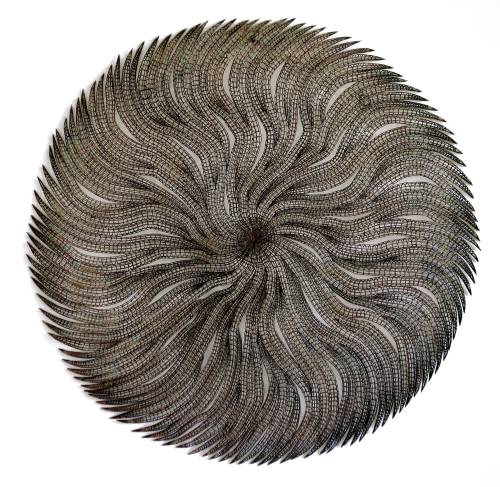 Copper Wire Weaves and Spirals into Organic Sculptural Forms by the Late Artist Bronwyn Oliver