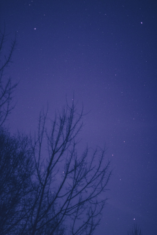 rabbitinthemeadow:Scatter my wayward pieces across that cold, yawning winter sky // Part 8