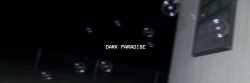 lyricrandomheader:  dark paradise - lana del rey @frootzxcx {x}like/reblog if u use/savedon’t copy