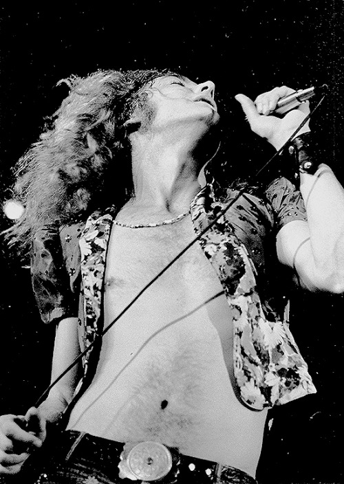 Robert Plant photographed by K. Hasebe on stage at the Budokan arena in Tokyo, Japan. October 3, 197