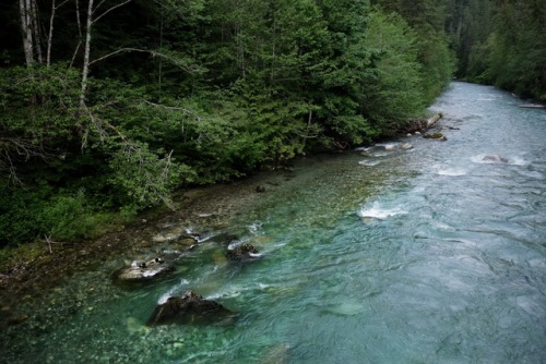 bloganlive:Cascade River Road Washington state