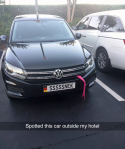 theivorytowercrumbles:  tastefullyoffensive:  (via freeornothing)    #is this medusa’s car   