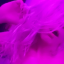 littlekittywhore007