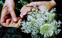peetakmellark-deactivated201403:  “Here it’s safe, and here it’s warm, Here the daisies guard you from every harm.” 