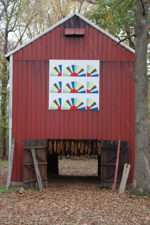 311 Paschall Road Murray KY 8x8 9 patch fan
This square represents the beautiful fan quilt that was hand pieced by Ruth Paschall in 1988. At the time the quilt was made, she was 75 years old and she usually “turned out” two hand pieced quilts each...