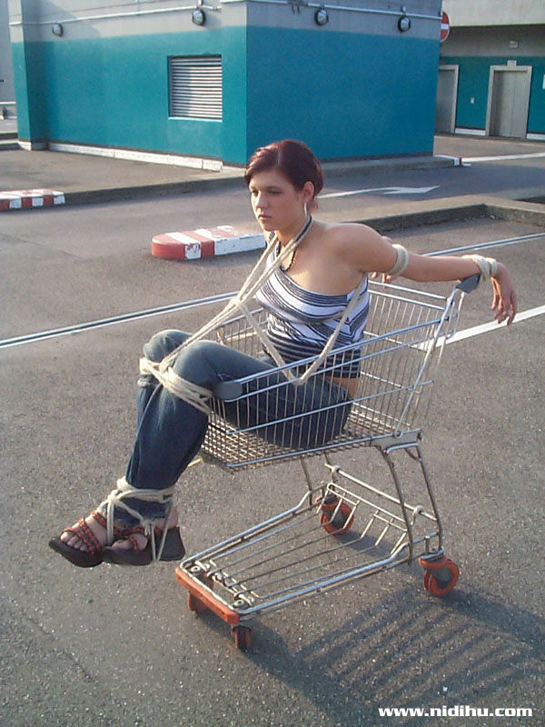 graybandanna:Where is this store where you can load up your cart with a damsel in