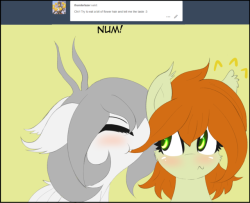 askflowertheplantponi: “…” ohai guis