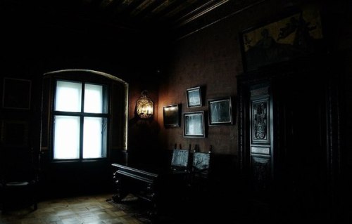 Interior of Goluchow Castle, Poland.