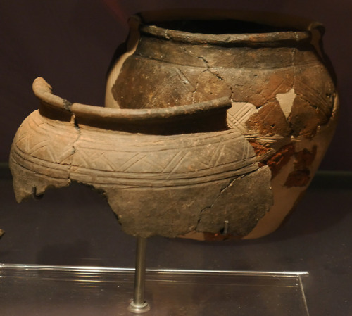 Bronze Age and Iron Age pottery, hand mirror and other artefacts, Royal Albert Museum and Gallery, E