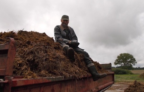 0815rubbersmell: IT IS LOVELY TO SIT ON A DUNG HEAP.