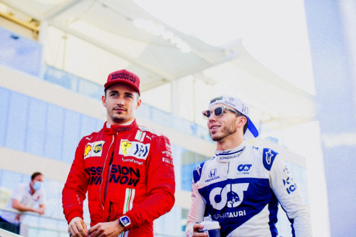 callumsmick: Charles Leclerc and Pierre Gasly during the F1 Grand Prix of Abu Dhabi at Yas Marina Ci